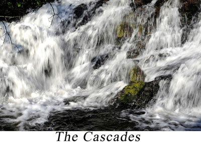 lissycasey cascades